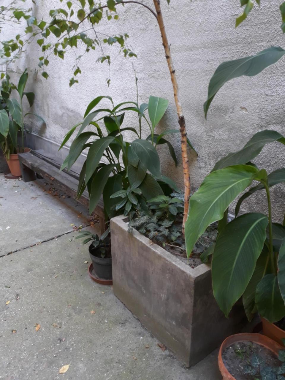 Connection Guesthouse Budapeşte Dış mekan fotoğraf