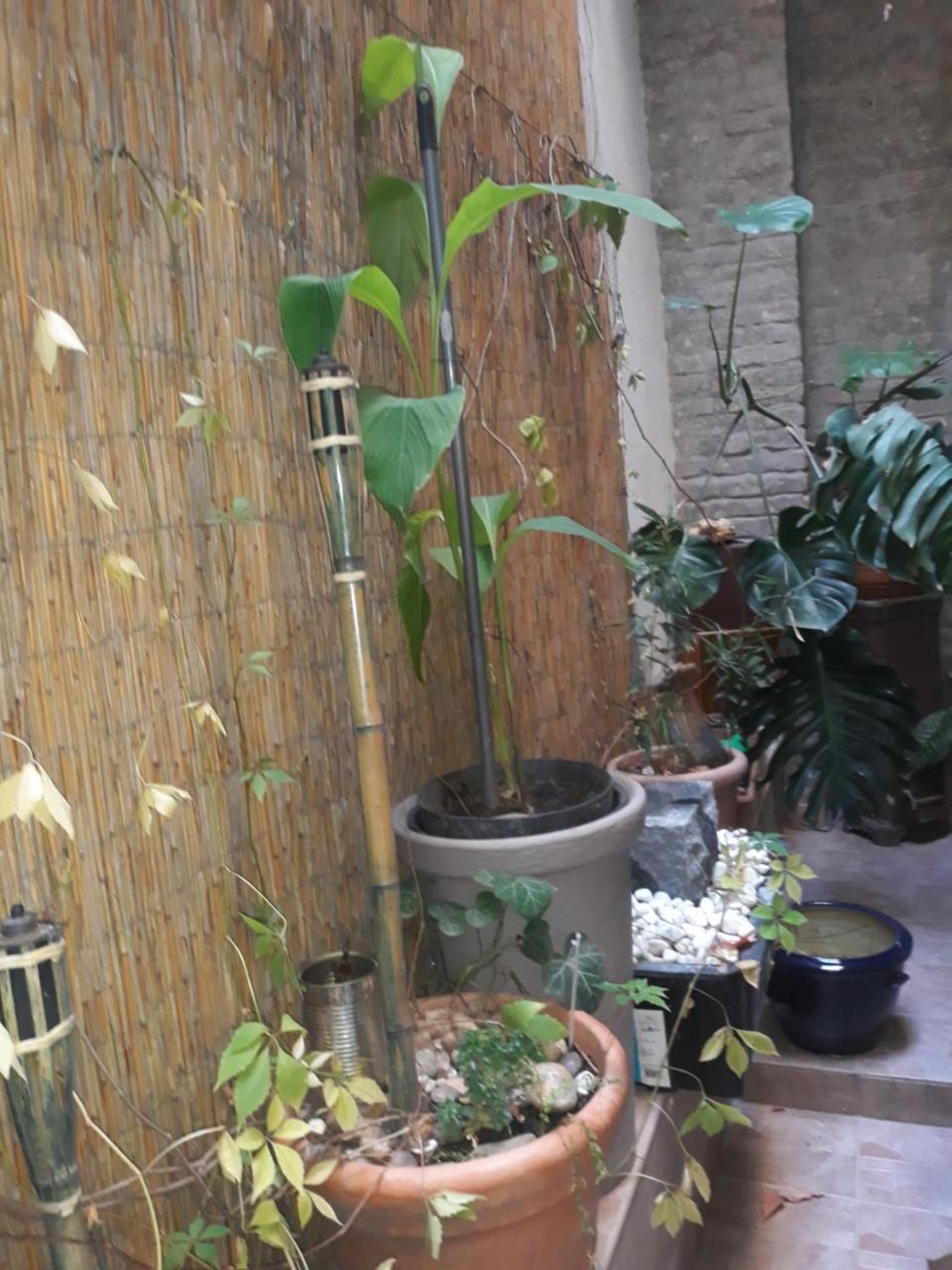 Connection Guesthouse Budapeşte Dış mekan fotoğraf