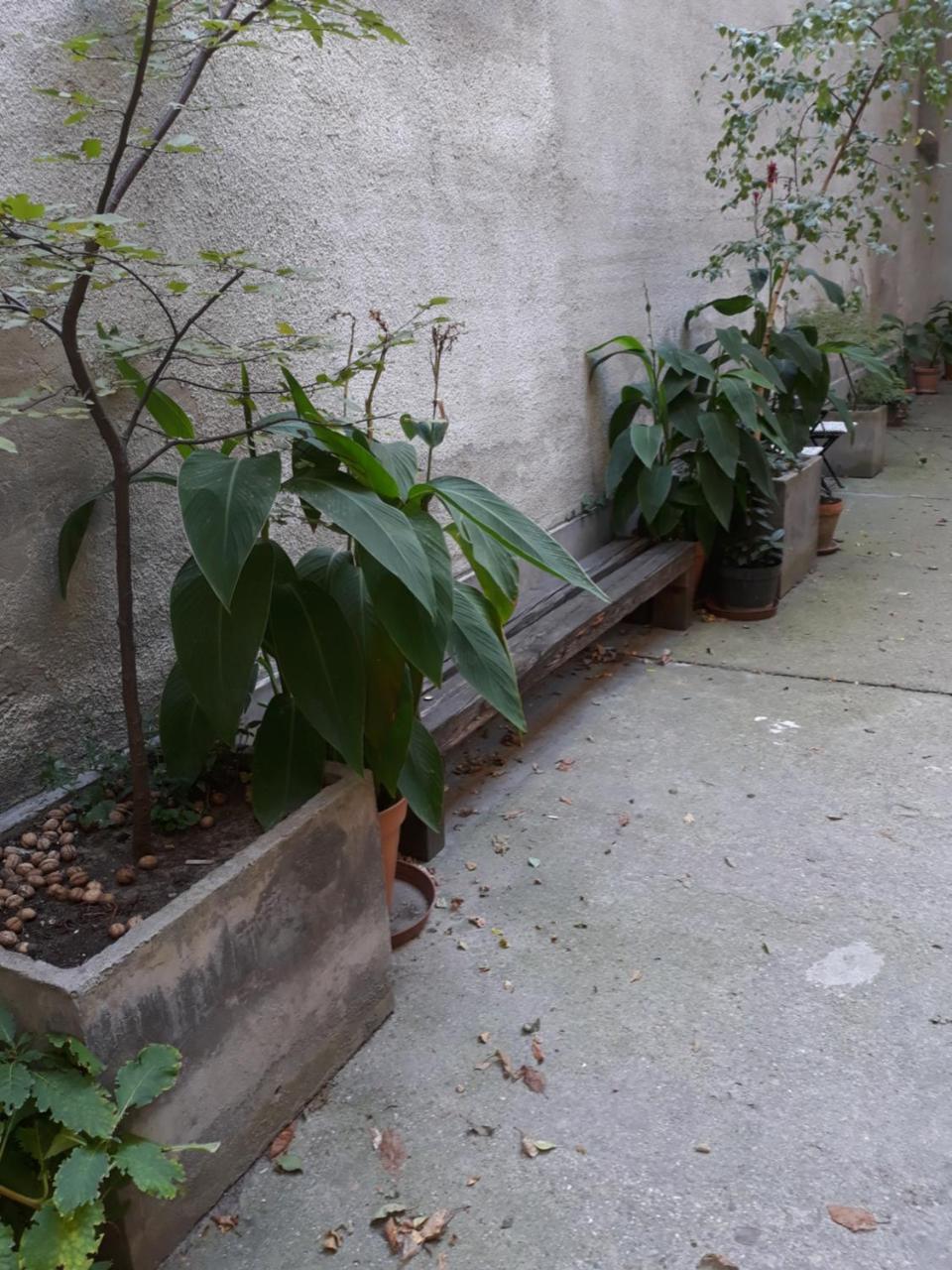 Connection Guesthouse Budapeşte Dış mekan fotoğraf