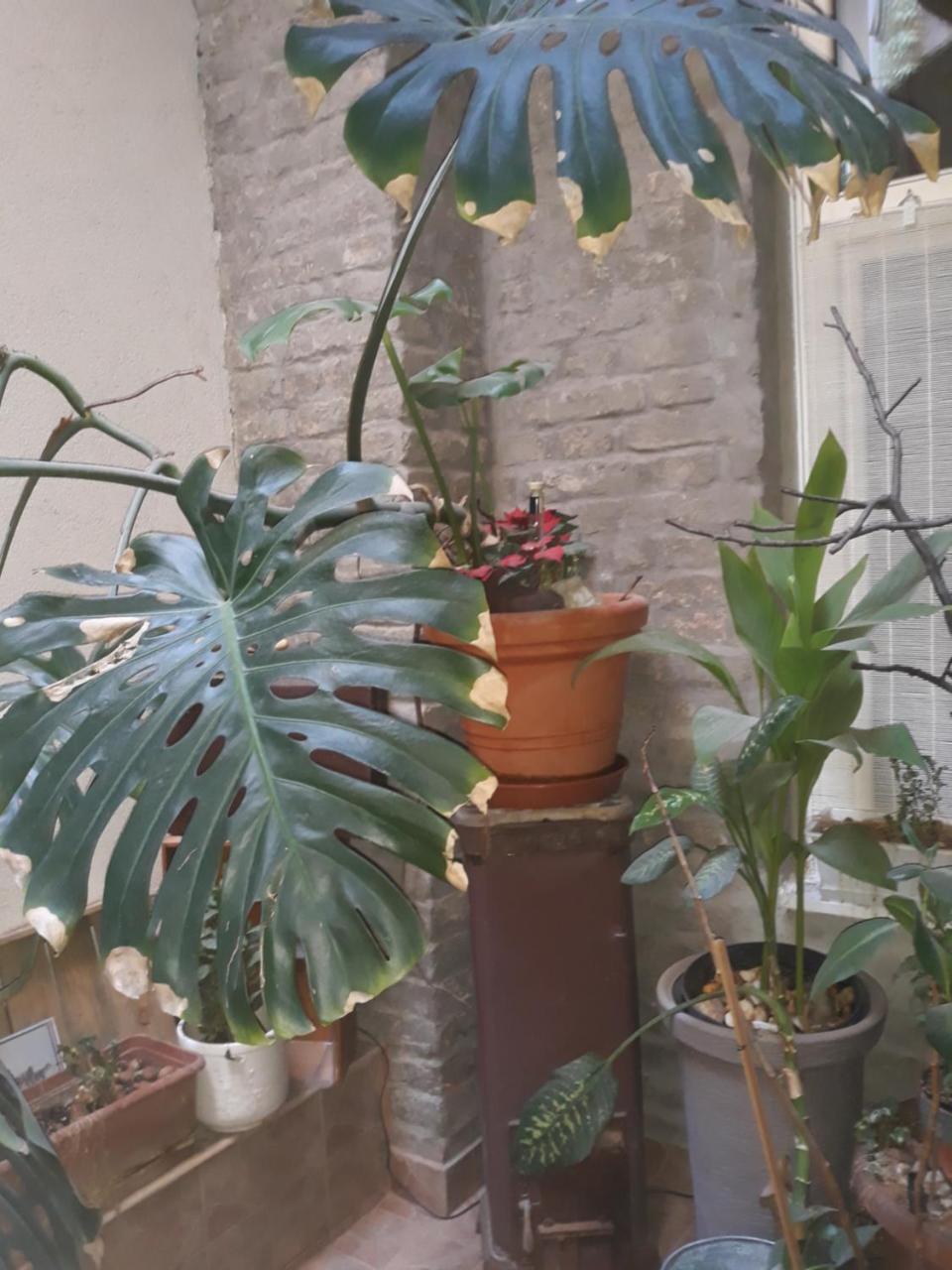 Connection Guesthouse Budapeşte Dış mekan fotoğraf