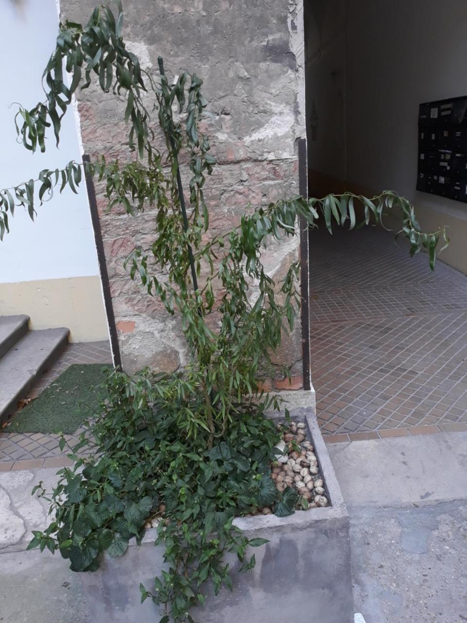 Connection Guesthouse Budapeşte Dış mekan fotoğraf